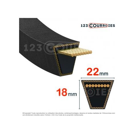 Courroie trapézoidale lisse Contitech Conti V SPC5440 Ld