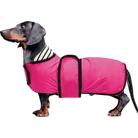 Imperméable pour Teckel Manteau de Pluie Réfléchissant et Chaud avec Doublure Souple pour Chien Saucisse Veste Imperméable Ajustable avec Trou de Harnais (1/5)