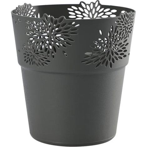 Couverture Aster 11,5 cm anthracite (1/5)