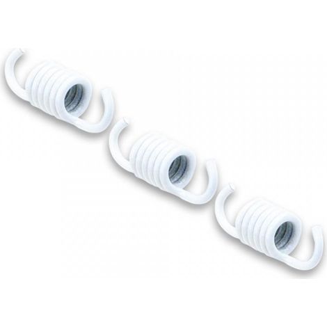 kupplungsfeder malossi für roller aprilia 50 sr r 2t lc 29 7392b (1/2)