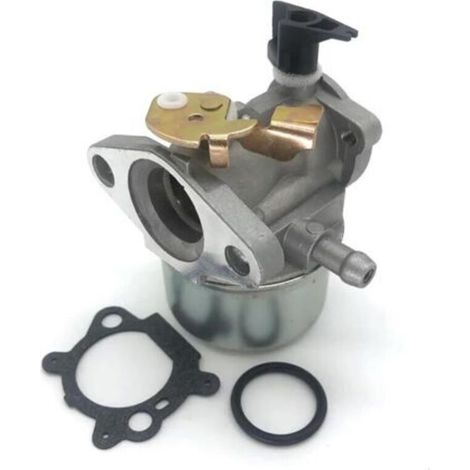 Carburateurs pour moteurs Briggs & Stratton Quantum - pièces détachées pour carburateurs (1/5)