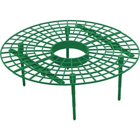 Lot de 15 supports pour plantes de fraises - évite la pourriture - Outil de culture de fraises (1/5)