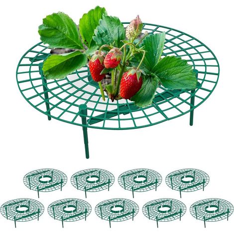 Soportes para fresas, paquete de 10, protección contra la pudrición y las babosas, para plantas de fresa, plástico, verde. (1/5)