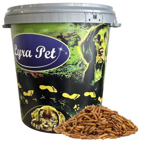 5 kg de larves de mouches soldats Lyra Pet® dans un bac de 30 L