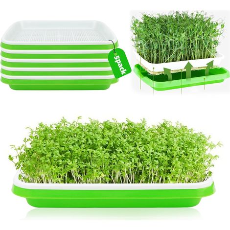 Sprouting Bowl Set of 5 31cm x 25cm  Seed Sprouter Tray for Growing Mung Beans Alfalfa Wheat Grass (1/5)