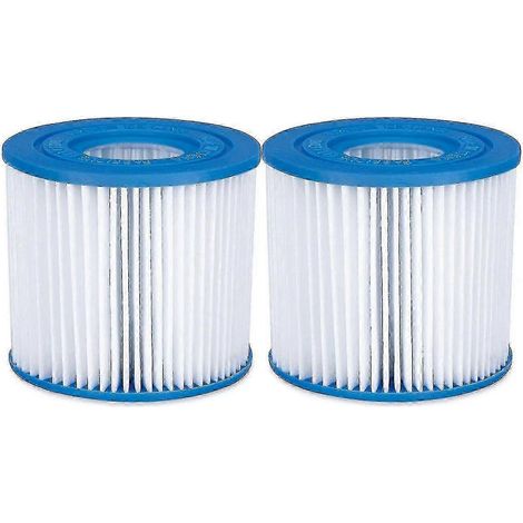 Cartouches filtrantes de rechange Summer Waves type D pour piscine, en papier résistant (lot de 2) (1/5)