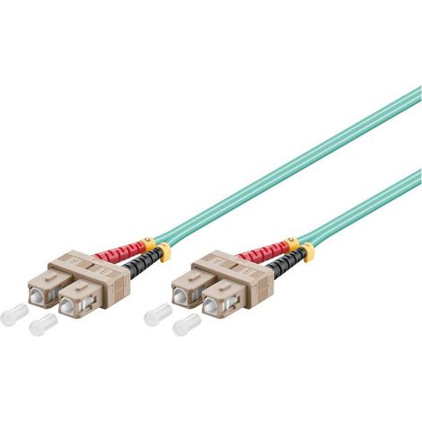 WP WPC-FP3-5SCSC-010 InfiniBand/Glasfaserkabel 1 m SC Blau