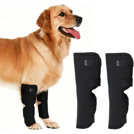 2 Pcs Attelle de Jambe de Chien, Bandages de Compression pour Pattes de Chien Pour la cicatrisation des plaies, Genouillère pour Chien pour Rééducation et Soutien Articulaire Dog Knee Brace(Noir) (XL) (1/5)