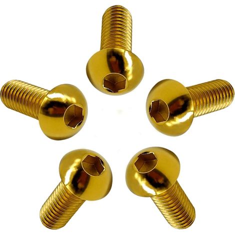 Vis à Tête Bombée M4/M5/M6/M8 en Titane GR5 ISO7380, 5 Pièces Vis à Tête de Bouton Boulons à Six Pans Creux Allen Boulon à Douille Hexagonale Vis à Métaux (1/5)