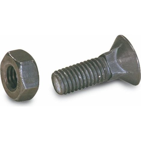 Boulon tête fraisée collet carré M10X30 avec écrou (Lot de 10) (1/2)