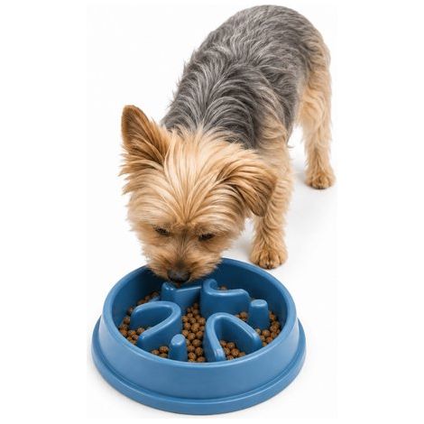 Gamelle anti-glouton – Slow feeder – Ø21 cm – Bleu – Antidérapant – Chien (1/5)