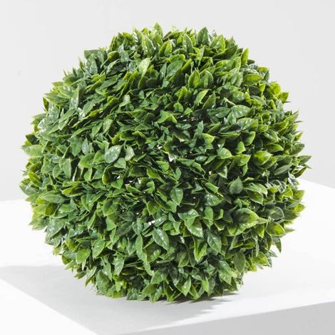 Siepe sempreverde Verdelook camargue ø30 cm (1/3)