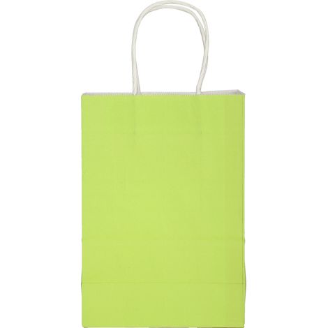 10 sacs en papier kraft réutilisables pour cadeaux, courses et fêtes - 15 x 8 x 21 cm - Vert (1/5)