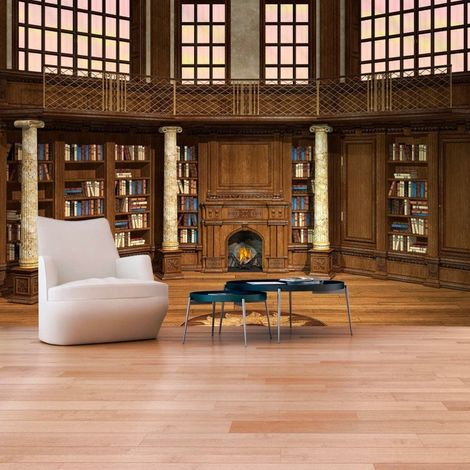 Papier peint bibliothèque de rêves - 250 x 175 cm (1/4)