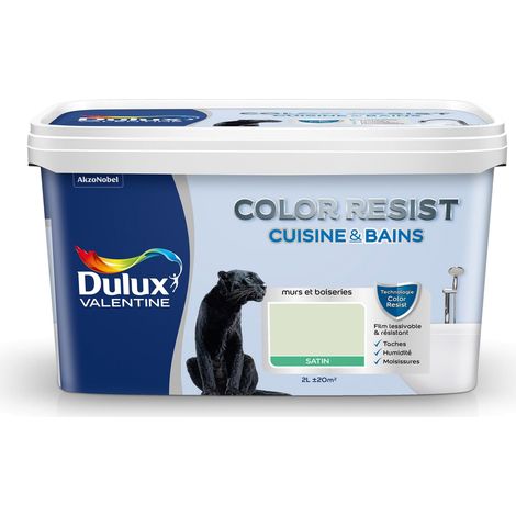 Peinture Color Resist Cuisine & Bains Satin Tendrement Vert 2 L - Dulux Valentine (1/5)