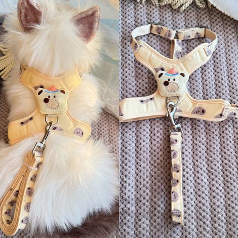 Filiyano-Gilet de traction pour chat, permet de se libérer, de sortir et de se promener avec une barrière pour chat. Petite chaîne, harnais ajustable (1/5)