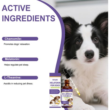 Solution pour le sommeil du chien, formule de qualité vétérinaire, douce et apaisante pour un sommeil réparateur, convient à tous les âges – 60 ml (1/5)