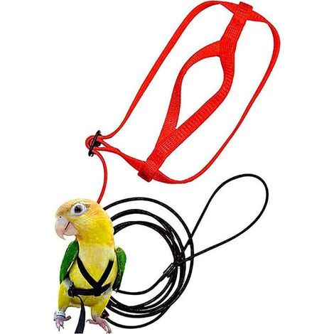 Harnais et Laisse Réglables Anti-Morsure pour Oiseaux - Perroquet, Cacatoès, Perruche, Calopsitte - Taille S (1/5)
