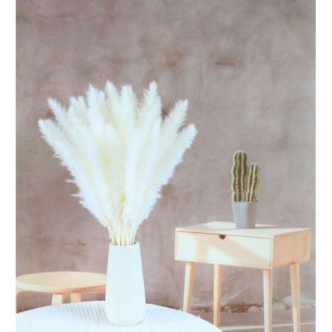 15 pcs Herbe de la Pampa Naturelle, 60 cm Petite Phragmites Communis Bouquet de Fleurs Sechees pour la Décoration Intérieure Maison Mariage Hôtel Table Chambre Photographier (Blanc) (1/5)