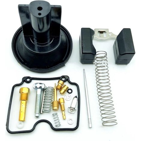 Applicable àKit de réparation de carburateur pour YAMAHA TW200E TW200 2001-2019