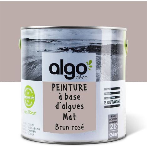 Peinture écologique Algo - Mat - Brun rosé - 2L (1/5)