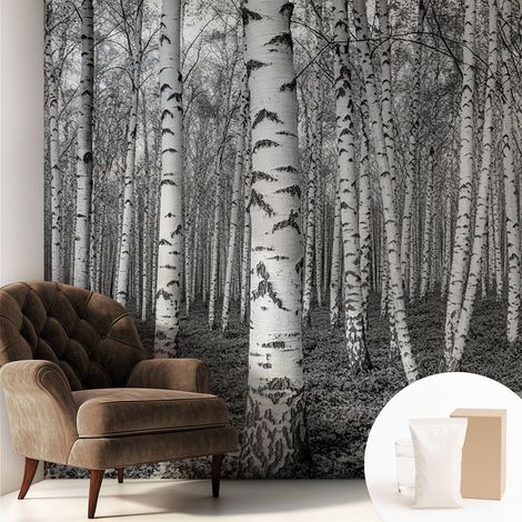 Fototapete Tapete Vliestapete mit Kleber Büro Wandgestaltung - Wanddekoration Wohnzimmer Birkenwald 250x250 cm