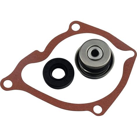 Kit orf pormpe à etoru 3084837 3084836 - cormptortibgivthere Portheris 400 425 3086840 (1/5)
