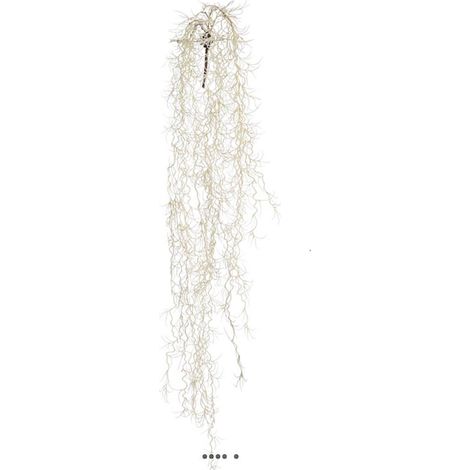 Chute de tillansia artificiel L 80 cm blanc (1/3)