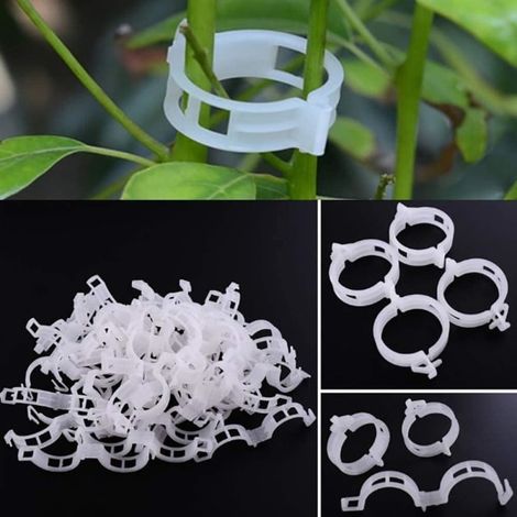 Tuteur de plantes 100 pièces, pince à clipser pour fixation des tiges, support de croissance pour légumes grimpants, vert, connecteur de jardinage, accessoire de potager (1/5)