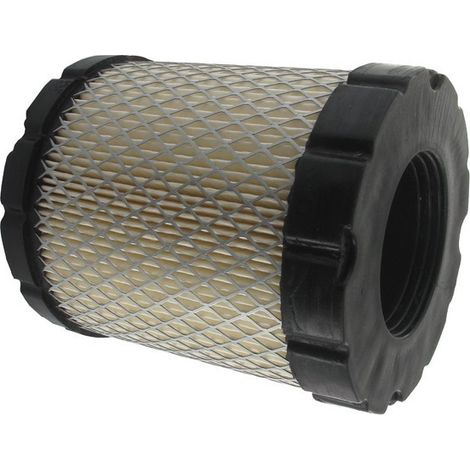 Filtre à air moteur Briggs et Stratton 798897