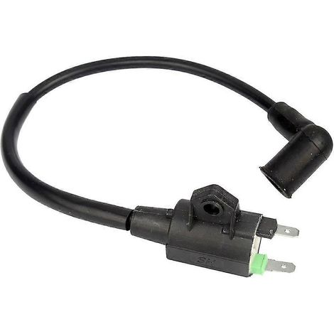 Bobine d'allumage pour moteur de générateur à essence Yamaha ET950 ET650 (1/5)