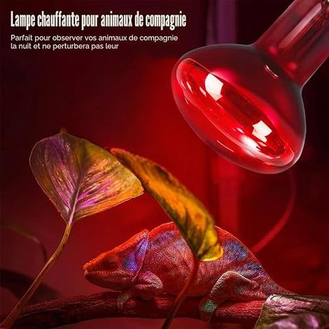Ampoules Chauffantes, Pièces 100W Lampe Chauffante E27 Infrarouge Dimmable Chaleur Lumière pour Dragon Barbu, Lézard, Tortue, Reptiles Amphibiens (1/4)