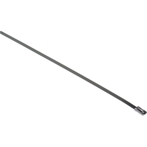 Serre-câble RS PRO en Acier Inoxydable 316, 200mm x 4,6 mm (1/3)