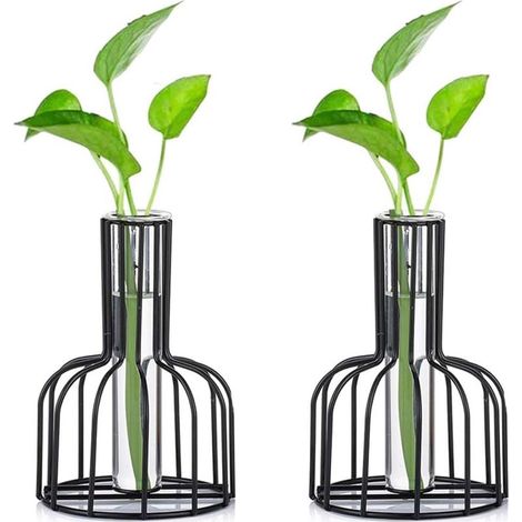 2 Pcs Mini Vases Set Petits Vases Pour La Décoration De Table Vase À Fleurs Bourgeon Moderne Vase En Verre Hydroponique Tubes À Essai (Noir)-Fei Yu (1/5)