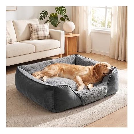 Panier Chien Grande Taille, 89x63x23cm, Lit Chien Lavable  Panier Chien Douillet: Rembourrage épais pour sommeil. Lit Chien anti-anxiété antidérapant (1/3)