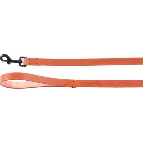 Laisse 130CM 20MM