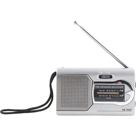 Radio AM/FM Mini Portable Argent avec Haut-parleurs Stéréo pour Musique (1/5)