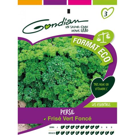 Gondian - Persil Frisé vert foncé