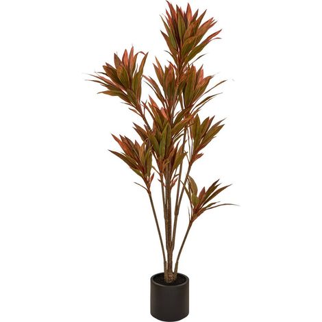 Dracena roja Edi, 180 cm, con maceta - Atmosphera créateur d'intérieur (1/3)