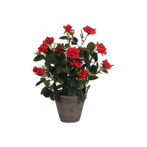 Maceta de rosal rojo, ø11,5 x 33 x 25 cm
