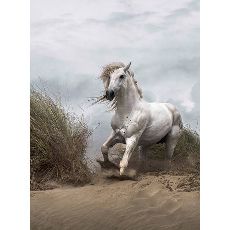 Papier peint panoramique enfant chambre fille | Tapisserie panoramique chevaux sauvages animaux | Papier peint panoramique vert et blanc moderne - 192 X 260 cm (4 pièces) (1/2)