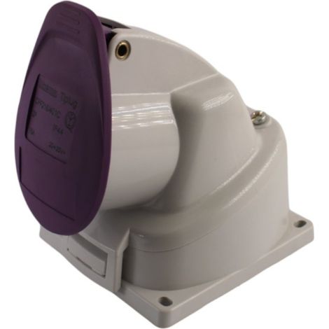 Presa fissa a bassa tensione 16A 24V 2P IP44 colore viola Bticino (1/2)