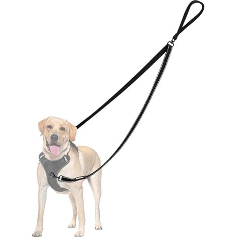 Laisse Anti-Traction pour Chien 1.8M Harnais Traction Chien Surface (1/5)