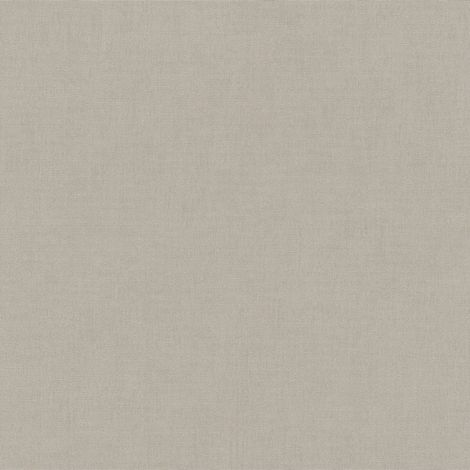 Vliestapete - AURORA - Helltaupe Uni Einfarbig Erismann - 1053938 (1/5)