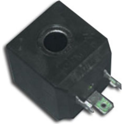 Electrovalvula 6W 12V 10/13 mm.