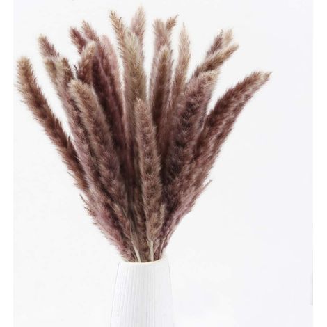 Plume De Pampas - 30 Pièces - 43 Cm - Naturelle Séchée - Pour Décoration Intérieure Extérieure - Centre De Table Mariage Couronne Porte Vase