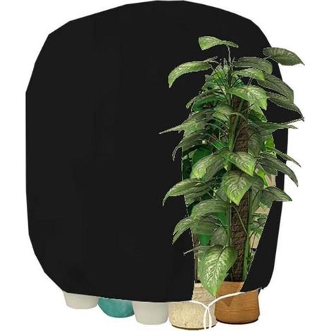 Winterschutzhaube für Pflanzen mit Reißverschluss, atmungsaktiv, reißfest, 160x240cm (1/5)