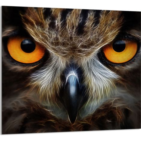 PANNELLO IN VETRO PER CUCINA 65x60 Owl (1/5)