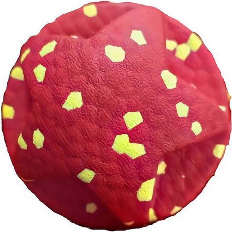 ETPU chien balle jouet à macher – résistant aux morsures et High Elasticity – pour petits to grands chiens et macheurs intensifs – Rouge (1/5)