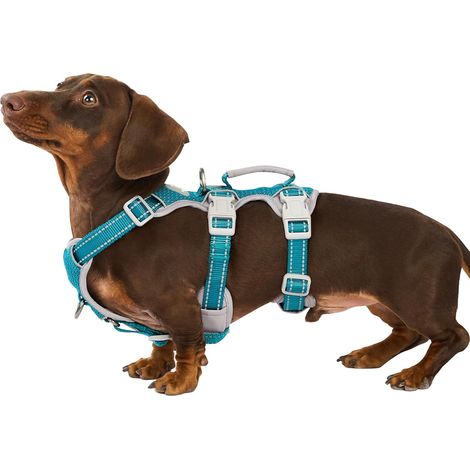 Harnais Anti-Fugue pour Chien, Entièrement Réfléchissant avec Poignée Rembourrée, Respirant, Gilet Réglable pour Petits Chiens, Équipement de Promenade (1/5)